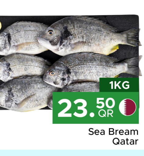  King Fish  in مركز التموين العائلي in قطر - الخور