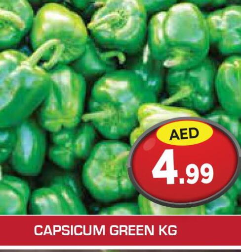 Chilli / Capsicum  in سنابل بني ياس in الإمارات العربية المتحدة , الامارات - رَأْس ٱلْخَيْمَة