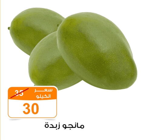  Mango  in جملة ماركت in Egypt - القاهرة