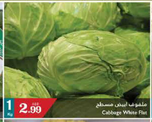  Cabbage  in تروليز سوبرماركت in الإمارات العربية المتحدة , الامارات - الشارقة / عجمان