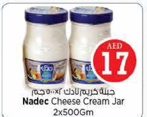 NADEC Cream Cheese  in نستو هايبرماركت in الإمارات العربية المتحدة , الامارات - ٱلْفُجَيْرَة‎