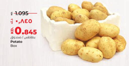  Potato  in لولو هايبر ماركت in الكويت - محافظة الأحمدي