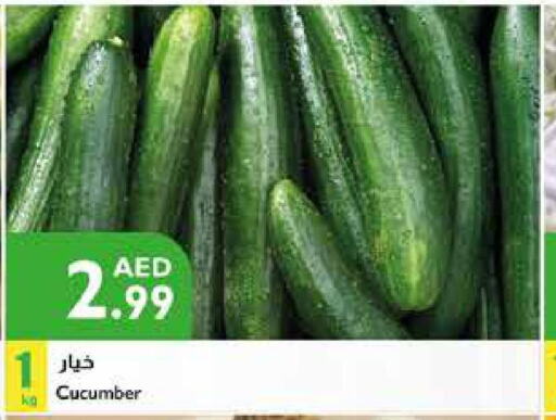  Cucumber  in إسطنبول سوبرماركت in الإمارات العربية المتحدة , الامارات - الشارقة / عجمان
