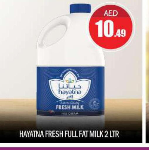 HAYATNA Fresh Milk  in BIGmart in UAE - Dubai