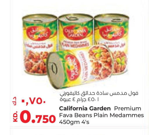 CALIFORNIA GARDEN Fava Beans  in Lulu Hypermarket  in Kuwait - Jahra Governorate