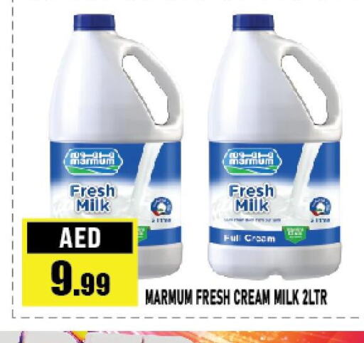 MARMUM Fresh Milk  in Azhar Al Madina Hypermarket in UAE - Abu Dhabi