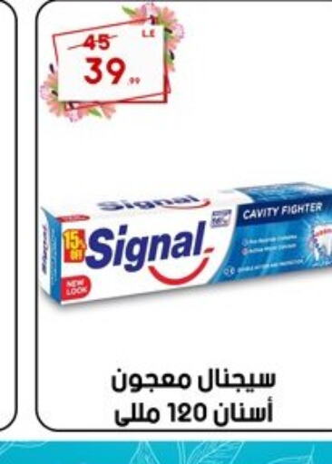 SIGNAL Toothpaste  in Al Morshedy  in Egypt - Cairo