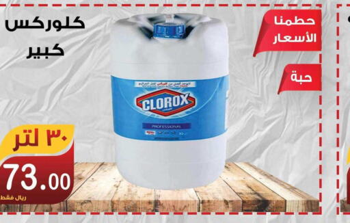 CLOROX General Cleaner  in Smart Shopper in KSA, Saudi Arabia, Saudi - Jazan