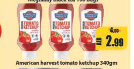 AMERICAN HARVEST Tomato Ketchup  in ليبتس هايبرماركت in الإمارات العربية المتحدة , الامارات - أم القيوين‎