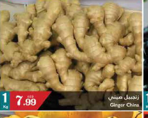  Ginger  in تروليز سوبرماركت in الإمارات العربية المتحدة , الامارات - الشارقة / عجمان