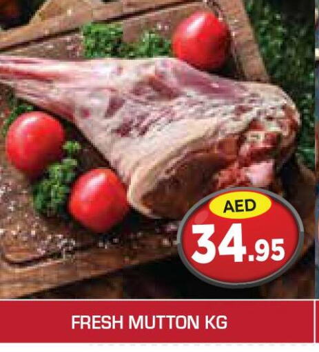  Mutton / Lamb  in سنابل بني ياس in الإمارات العربية المتحدة , الامارات - ٱلْعَيْن‎
