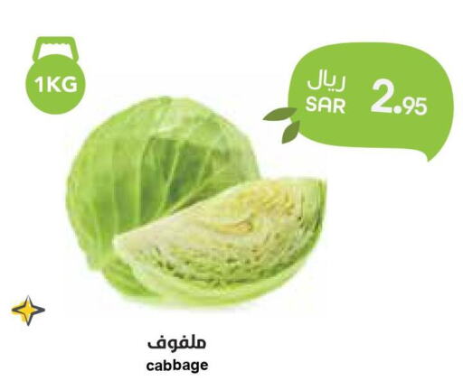  Cabbage  in واحة المستهلك in مملكة العربية السعودية, السعودية, سعودية - الخبر‎