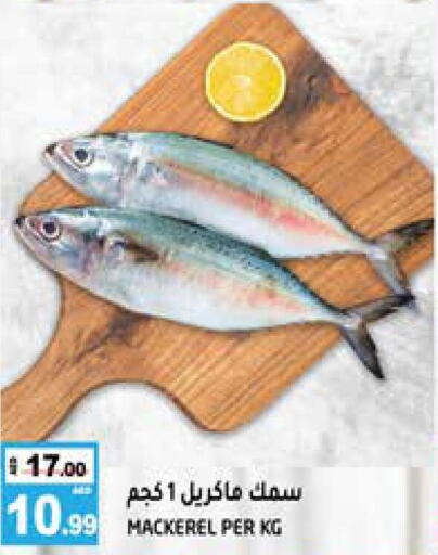  King Fish  in Hashim Hypermarket in UAE - Sharjah / Ajman