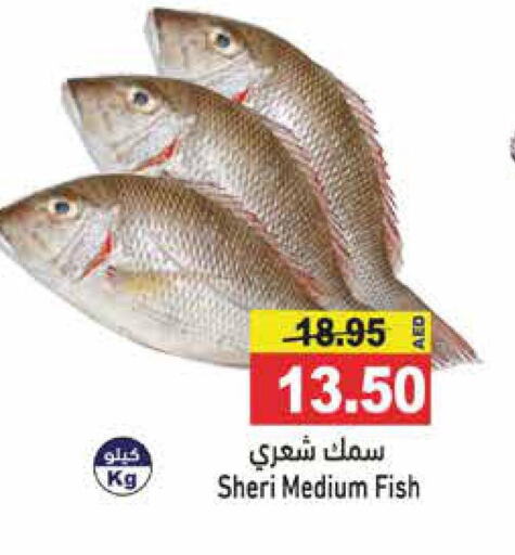  King Fish  in أسواق رامز in الإمارات العربية المتحدة , الامارات - رَأْس ٱلْخَيْمَة