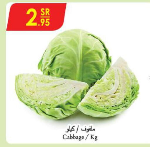  Cabbage  in الدانوب in مملكة العربية السعودية, السعودية, سعودية - تبوك