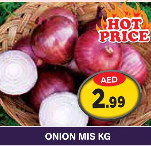  Onion  in سنابل بني ياس in الإمارات العربية المتحدة , الامارات - الشارقة / عجمان