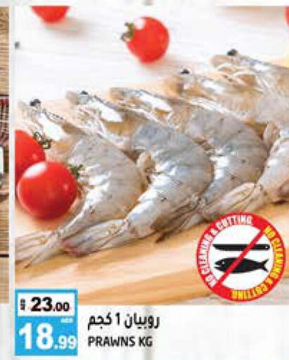  King Fish  in Hashim Hypermarket in UAE - Sharjah / Ajman