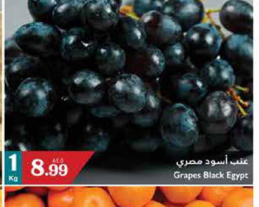  Grapes  in تروليز سوبرماركت in الإمارات العربية المتحدة , الامارات - الشارقة / عجمان