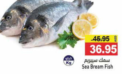  King Fish  in أسواق رامز in الإمارات العربية المتحدة , الامارات - رَأْس ٱلْخَيْمَة