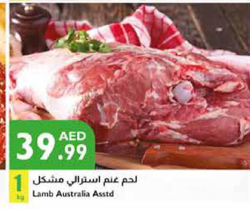 Mutton / Lamb  in إسطنبول سوبرماركت in الإمارات العربية المتحدة , الامارات - أبو ظبي