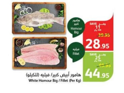 PLYMS Tuna - Canned  in هايبر بنده in مملكة العربية السعودية, السعودية, سعودية - بيشة