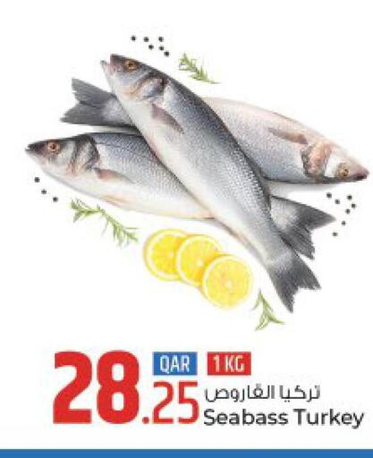  King Fish  in روابي هايبرماركت in قطر - الخور