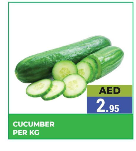  Cucumber  in Kerala Hypermarket in UAE - Ras al Khaimah