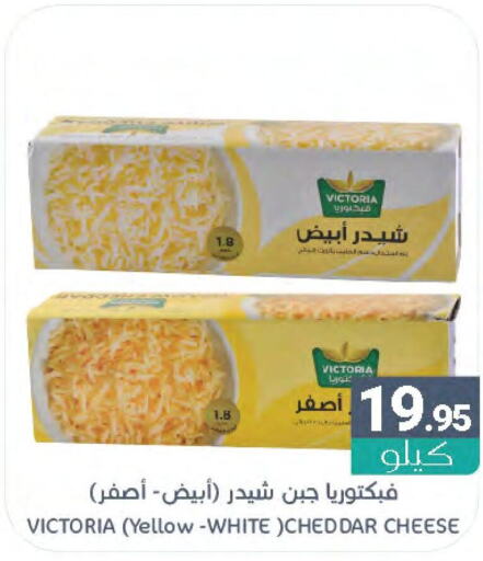  Cheddar Cheese  in Muntazah Markets in KSA, Saudi Arabia, Saudi - Dammam