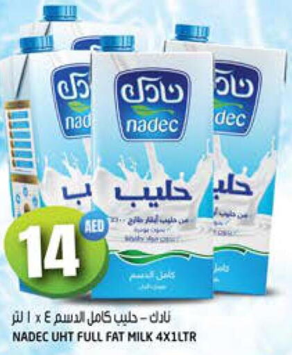 NADEC Long Life / UHT Milk  in هاشم هايبرماركت in الإمارات العربية المتحدة , الامارات - الشارقة / عجمان