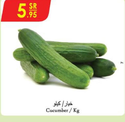  Cucumber  in الدانوب in مملكة العربية السعودية, السعودية, سعودية - تبوك