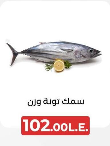  Tuna  in عرفة ماركت in Egypt - القاهرة