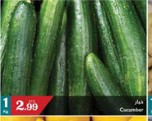  Cucumber  in تروليز سوبرماركت in الإمارات العربية المتحدة , الامارات - الشارقة / عجمان
