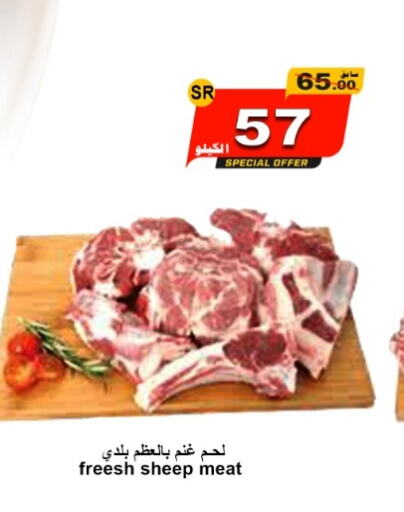  Mutton / Lamb  in Zad Al Balad Market in KSA, Saudi Arabia, Saudi - Yanbu