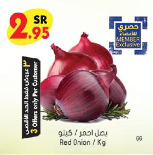  Onion  in Bin Dawood in KSA, Saudi Arabia, Saudi - Medina