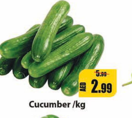  Cucumber  in ليبتس هايبرماركت in الإمارات العربية المتحدة , الامارات - أم القيوين‎