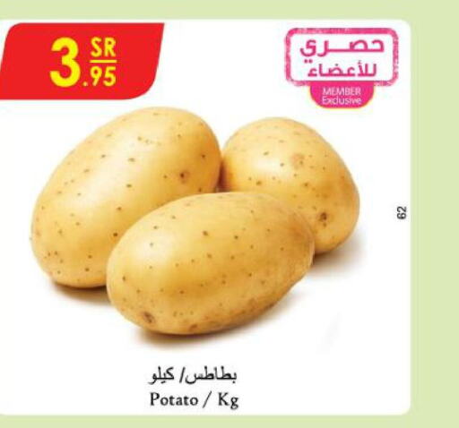  Potato  in الدانوب in مملكة العربية السعودية, السعودية, سعودية - حائل‎