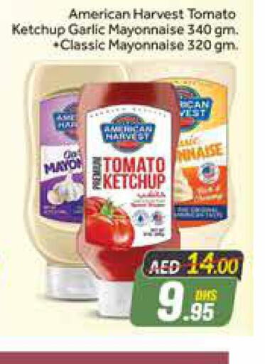 AMERICAN CLASSIC Tomato Ketchup  in Azhar Al Madina Hypermarket in UAE - Dubai