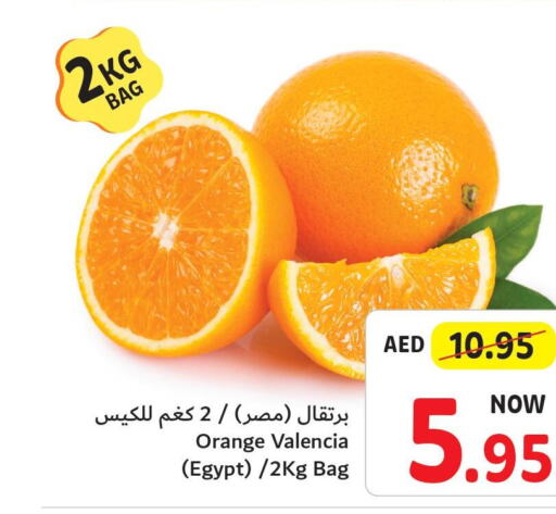  Orange  in تعاونية أم القيوين in الإمارات العربية المتحدة , الامارات - أم القيوين‎