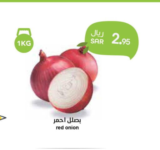  Onion  in واحة المستهلك in مملكة العربية السعودية, السعودية, سعودية - الخبر‎