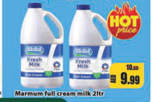  Fresh Milk  in Leptis Hypermarket  in UAE - Umm al Quwain
