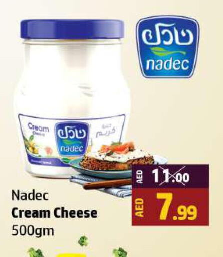  Cream Cheese  in Al Hooth in UAE - Ras al Khaimah