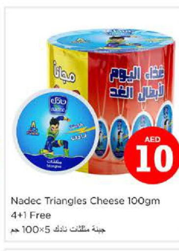 NADEC Triangle Cheese  in Nesto Hypermarket in UAE - Dubai