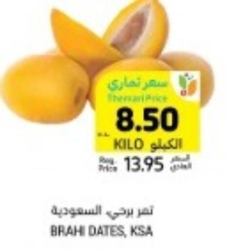  Pickle  in أسواق التميمي in مملكة العربية السعودية, السعودية, سعودية - الخفجي