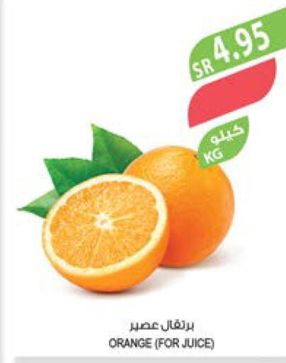  Orange  in Farm  in KSA, Saudi Arabia, Saudi - Al Hasa