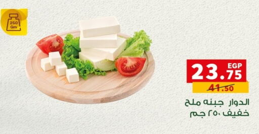 PANDA Feta  in بنده in Egypt - القاهرة