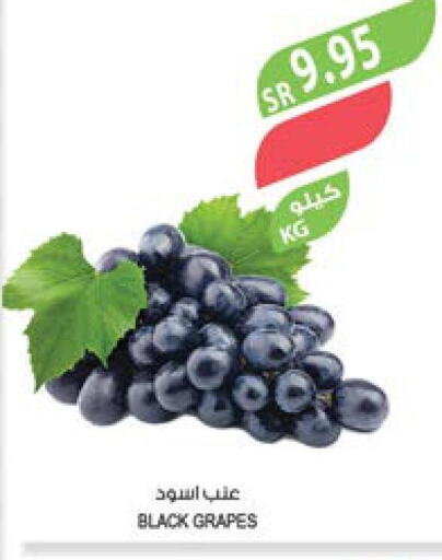  Grapes  in Farm  in KSA, Saudi Arabia, Saudi - Al Hasa