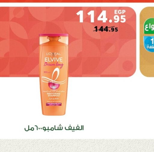 loreal Shampoo / Conditioner  in بنده in Egypt - القاهرة