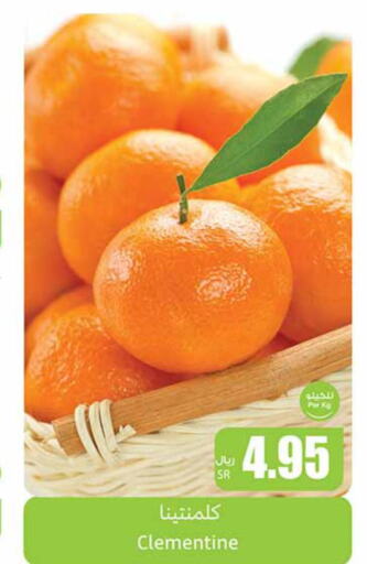  Orange  in Othaim Markets in KSA, Saudi Arabia, Saudi - Medina