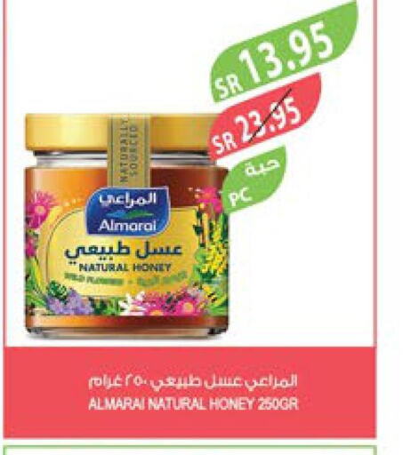 ALMARAI Honey  in Farm  in KSA, Saudi Arabia, Saudi - Khafji