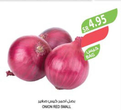  Onion  in المزرعة in مملكة العربية السعودية, السعودية, سعودية - ينبع